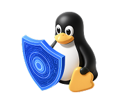 Next steps: Linux Fundamentals