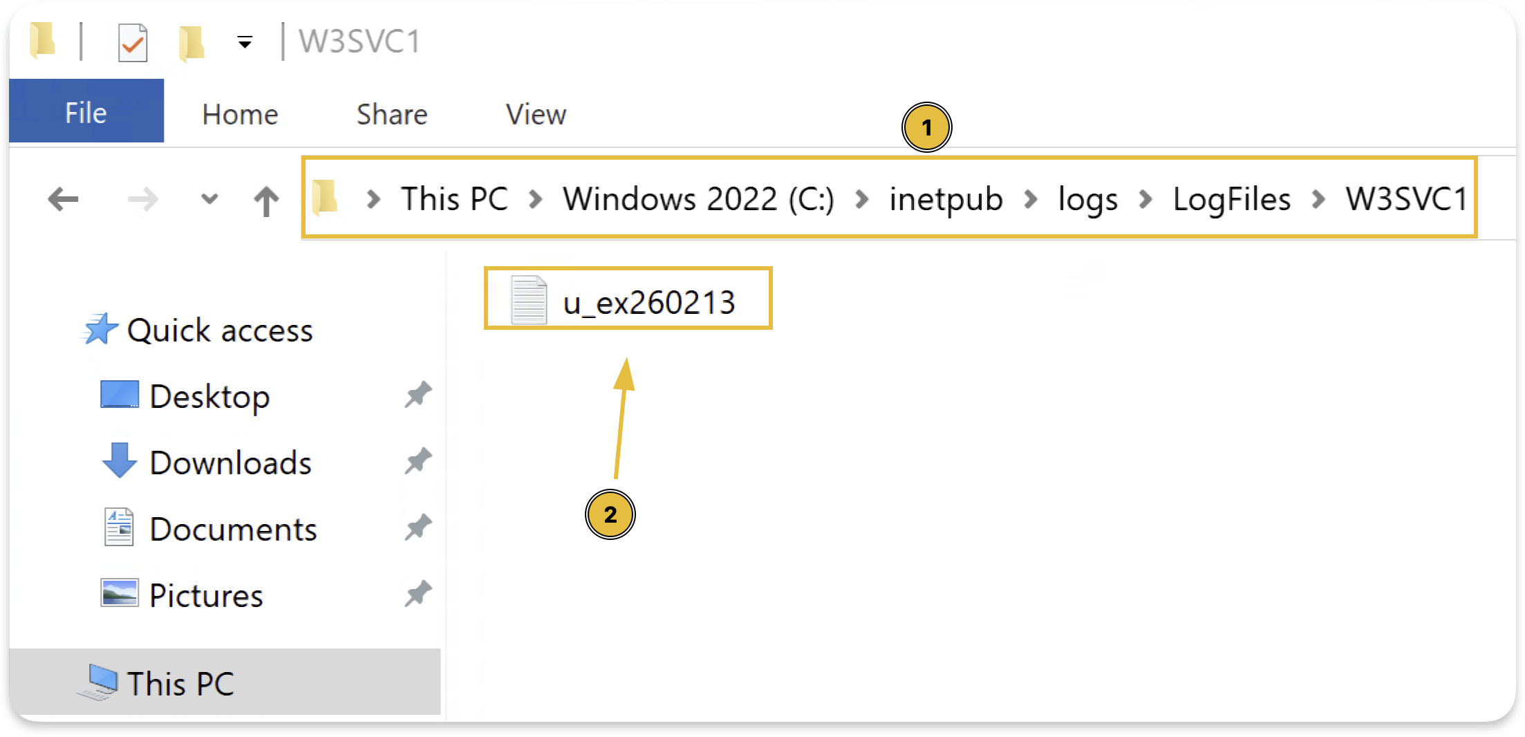 Raw IIS W3C log file showing field definitions header